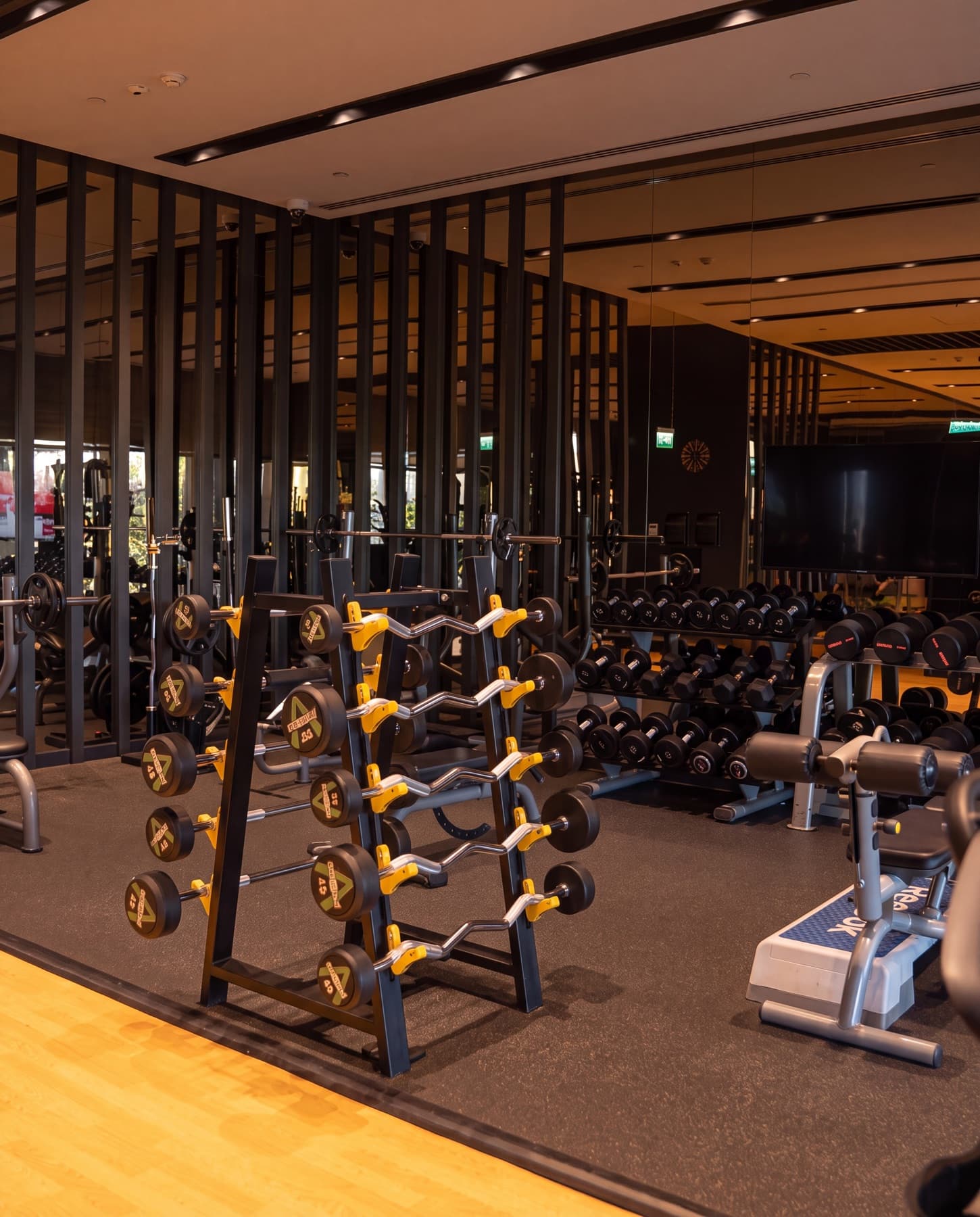 Navitas Spa fitness alanı — tam donanımlı ağırlık istasyonları